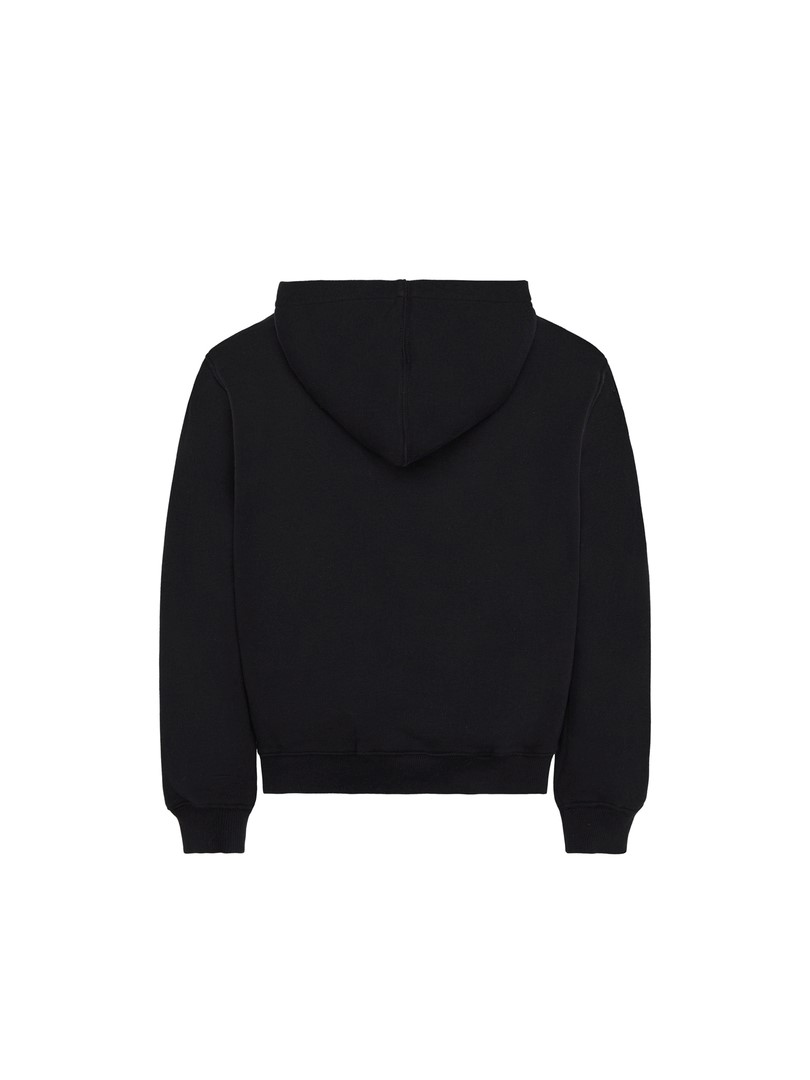 Dickies - TOUTH OAKPORT HOODIE - DK0KWR12KB0