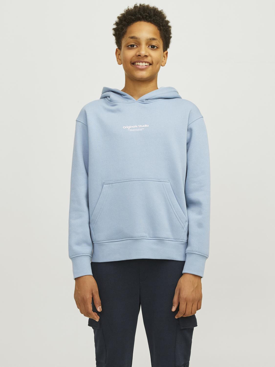 JACK&JONES - JORVESTERBRO SWEAT HOOD - 12242469