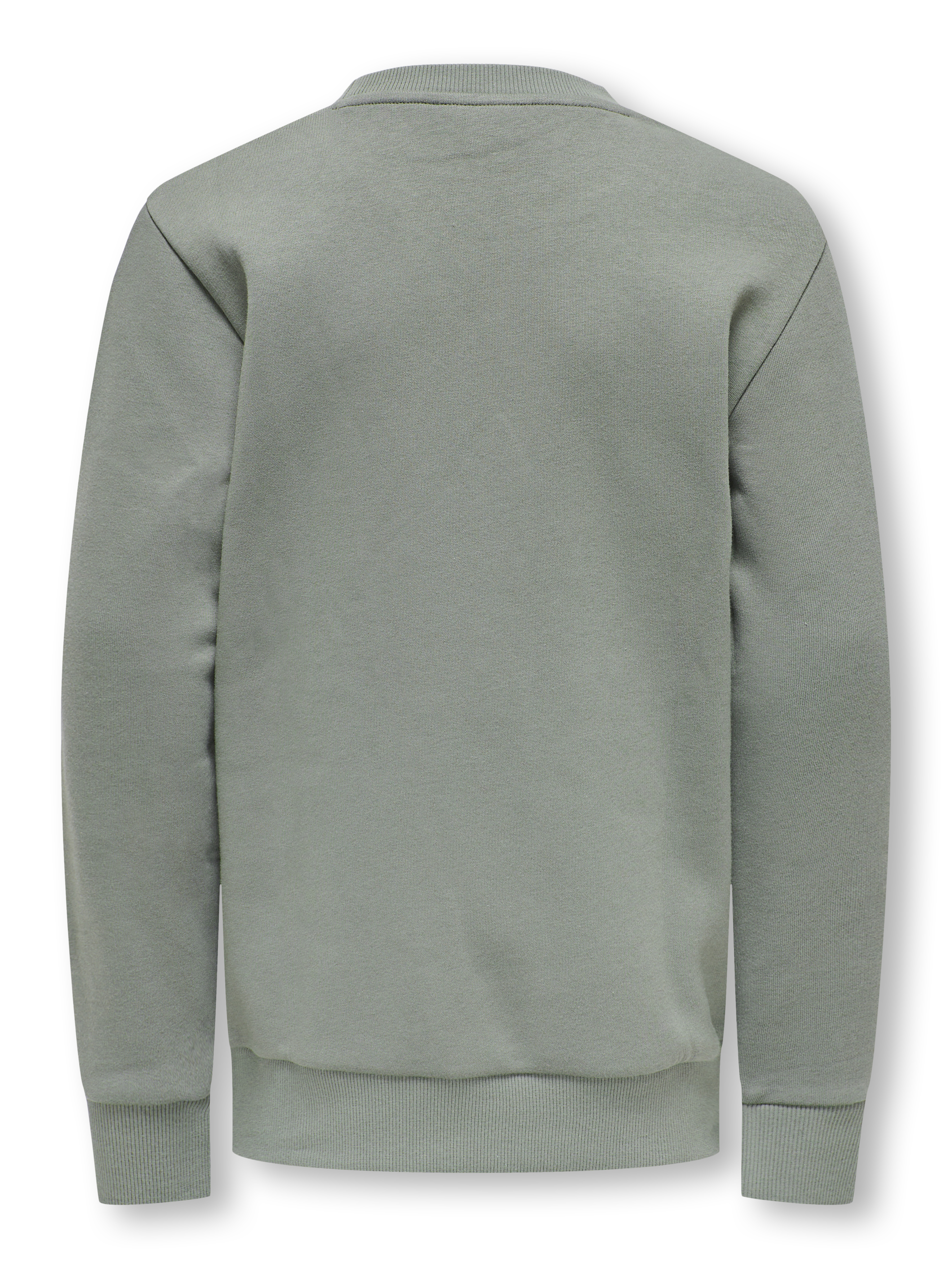 ONLY & SONS - OSJCERES CREWNECK SWEATSHIRT - 22033239