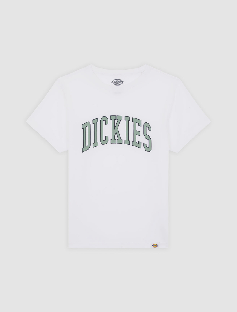 Dickies - AITKIN TEE SS - DK0A4Z8O0WH1